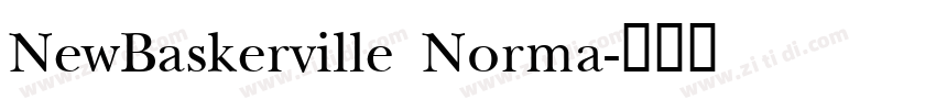 NewBaskerville Norma字体转换